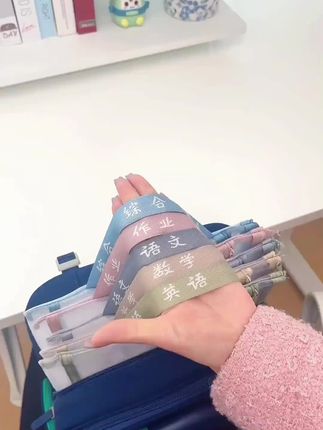 孩子的书包乱,可以试试这款双层透明的科目袋#科目分类袋#文件袋#试卷收纳袋#书皮#文具安利