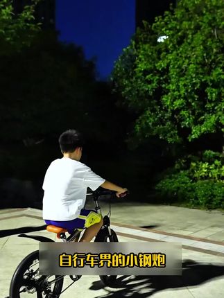 捷灵鸟儿童自行车6-8-10-12岁中大童学生山地变速单车