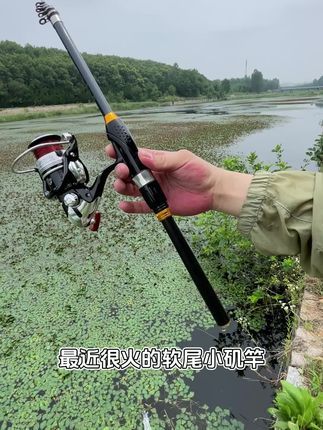 2025新款软尾小矶钓竿筏竿软尾岸抛桥钓筏竿套装全套软尾鲫鱼黄辣丁抛竿小海竿套装全套