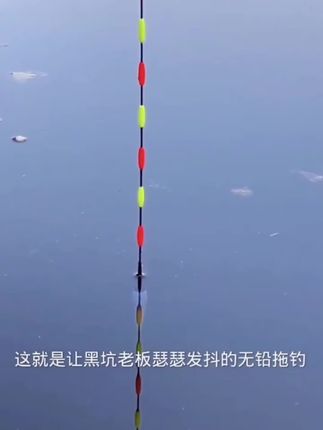 无铅自立跑铅日夜两用咬钩变色夜光电子鱼漂抗走水青鱼大物流氓漂
