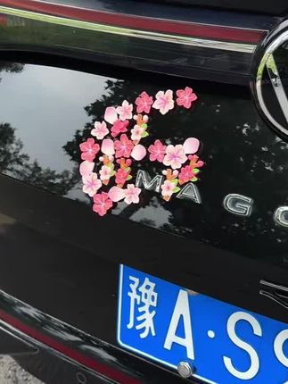 对象送的桃花车贴,贴车上太好看了#汽车好物 #汽车装饰品 #女生的车