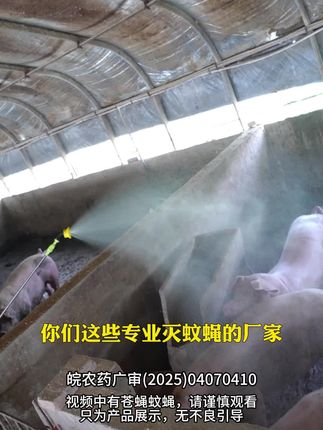 畜舍专用灭蝇药 | 猪舍 / 鸡舍 / 牛棚通用 快速降蝇 改善养殖环境