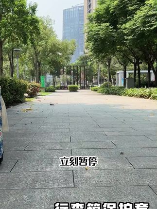 弹力拉杆箱保护套卡通皮箱旅行箱布套加厚耐磨登机托运防刮防尘罩