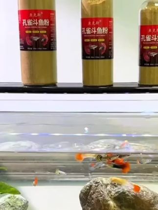 小鱼饲料小金鱼孔雀鱼幼鱼苗增艳小颗粒微粒鱼粮小型鱼凤尾斗鱼食