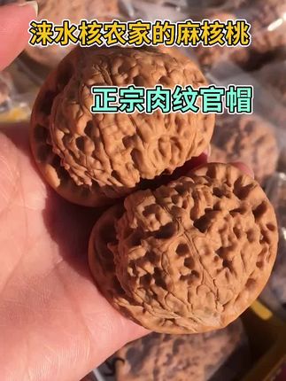 麒麟纹官帽大尺寸文玩核桃王勇官帽手盘练手把玩精品手把件