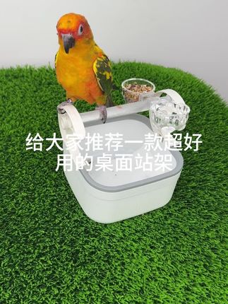 训鸟专用桌面站架办公陪伴两不误磨爪磨喙带有食盒水盒