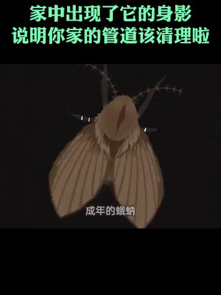 家里有小飞虫,地漏,洗菜池下水慢堵塞的,赶紧试试#管道疏通泡泡粉,好用不贵,再也不用花钱请疏通师傅了!