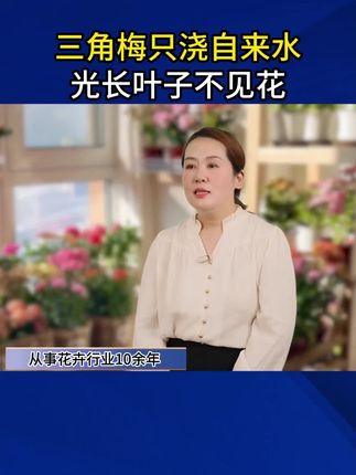 家里的三角梅黄叶、掉叶、烂根、不开花的可能是缺少氮磷钾,快试试这个三角梅专用再生剂