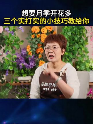 月季不开花,你就给它用这个月季肥,很快枝繁叶茂花满盘!