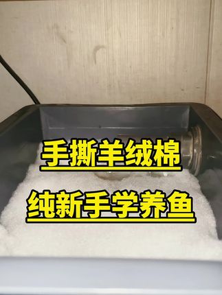想要空气缸 拦截杂质书是第一关 羊绒棉真的好用#羊绒棉 #鱼缸过滤 #过滤棉 #养鱼日记 #水族用品