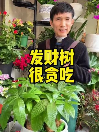 家里的绿植枯黄、不开花、掉叶、烂根,赶紧用这个绿植复活液#种棒植小技巧 #养花 #花肥