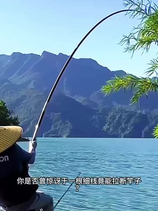 东丽A90W【5盘装】3米主线成品溪流钓组青鱼线组成品鲫鱼专用线组