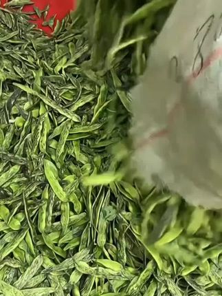#豆角#大马掌豆角 #东北油豆角