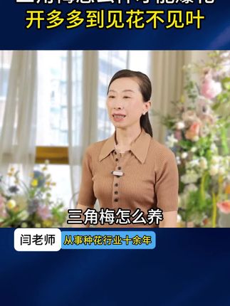 如何让你家的三角梅像疯了一样爱开花?记住这条口诀,你就是养三角梅高手#养花#花卉 #养花小知识