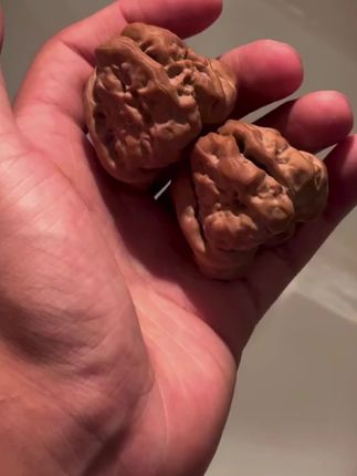 正宗精品老树延庆蛤蟆头核桃文玩金蟾狮子头闷尖蛤蟆头核桃精品有腿有眼