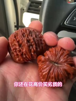 盘玩界“硬通货”!四座楼狮子头,红皮厚蜡油性足,藏玩双得意