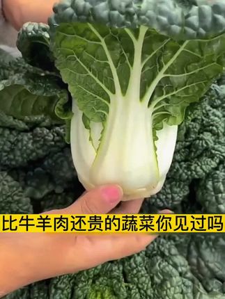 夏天冬天都可以种植的黄心乌塌菜,它营养丰富,种植简单还高产,不知道种菜种什么的,推荐你现在也试试吧