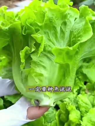 厂价直销,彩色包装,品种齐全,诚信经营,厂家批发!