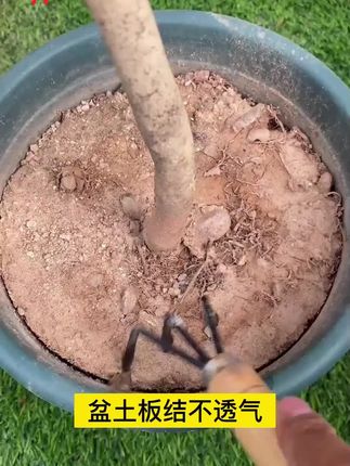 它就是养花种菜都可以用的黑金水溶肥,不仅能够活化土壤,提供养分,还能促进植物生长开花#养花种菜 #黑金水溶肥