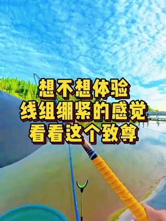秋冬季节必备Z尊钓鱼添加,钓鲫鲤草鳊翘鲢就用它!下单就送免费试用装!