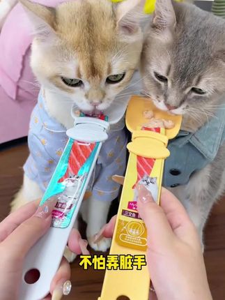 快来用这个猫条勺吧,这样喂食的时候就不会弄脏手了#萌宠好物#低价好物#养猫好物