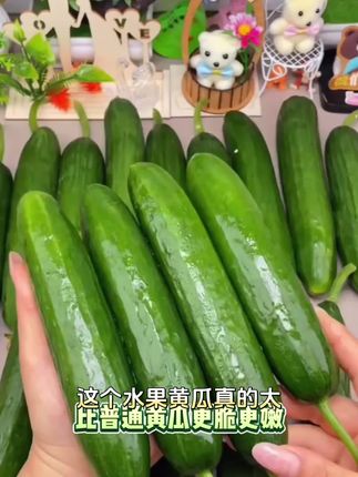 荷兰水果黄瓜,好吃又健康,正宗美味,今日优惠!