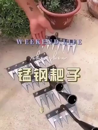 #中秋
