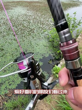 全金属纺车轮路亚渔轮远投专用鱼轮大全正品钓鱼轮子海竿海杆矶钓