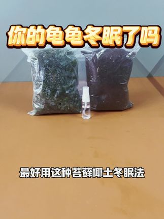 你的龟龟冬眠了吗,还没有的朋友,快来试试这个乌龟冬眠盒吧#养鱼日记#养龟日记#乌龟冬眠盒