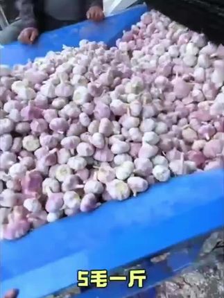 生吃大蒜?试试这款吧