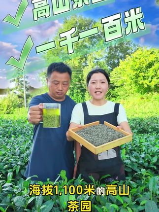 卖爆了!精选毛尖,高山人工采摘!精美包装 香气浓郁口感醇厚!超值!