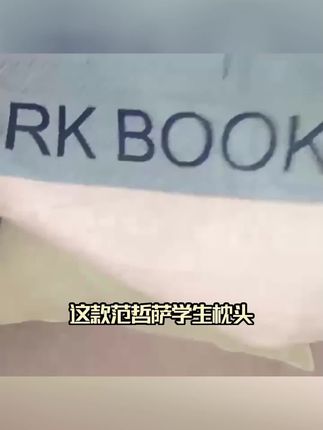 枕头单人学生宿舍可爱午睡成人家用护颈椎女生男生双人情侣一只装