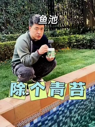 鱼缸水质不好?鱼缸水质问题多?试试这款鱼缸水质除藻剂#鱼缸#水族#除藻剂#水族爱好者#观赏鱼