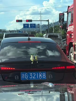 闪现青蛙 天气炎热也要打伞钓鱼 好好玩的钓鱼撑伞青蛙#钓鱼青蛙#车载摆件