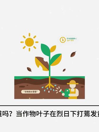 2025年农作物抗高温干旱日灼居然还不知道用脯氨酸? 致仲和耐热卫士是一款只有一种氨基酸-脯氨酸的水溶肥!抗高温!抗干旱!各种因为高温环境胁迫造成的作物生长障碍异常!#高温干旱 #种植小技巧 #农业种植 #脯氨酸 #致仲和耐热卫