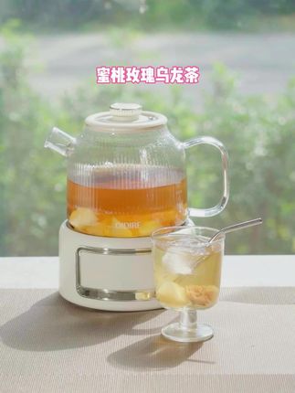 你有101位好友都在用这款全玻璃养生壶!