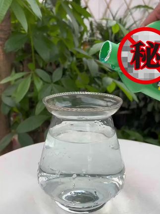 绿萝黄叶落叶还烂根,那就给他浇这种水,枝繁叶茂,叶子绿油油!