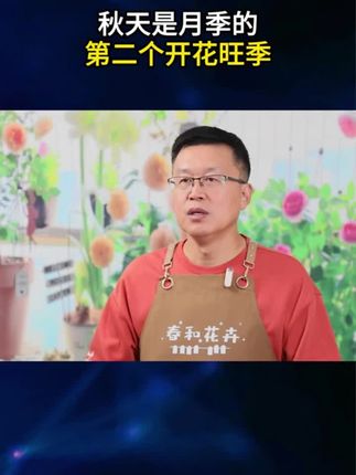 种月季一定要用这款#月季肥