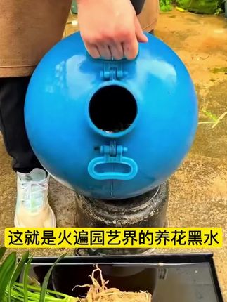 在家里养花,多做这一步很快枝繁叶茂花開爆盆
