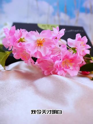 种草!这盒4口味团子,我能回购100次!中秋好物、中秋礼盒、中秋福利、方便美食、口感沙软、独立包装、老字号