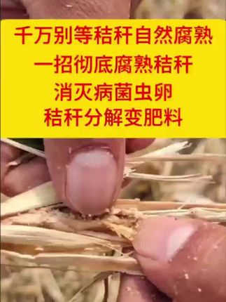 秸秆还田是什么意思?秸秆还田有什么好处?