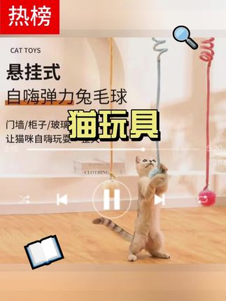 猫玩具自嗨解闷悬挂弹簧兔毛球猫咪自嗨玩具猫玩具球猫咪用品大全#猫玩具 #猫玩具推荐 #猫咪玩具推荐