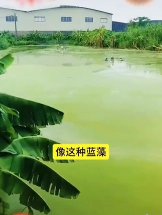 #水产人#水产养殖#鱼虾蟹养殖