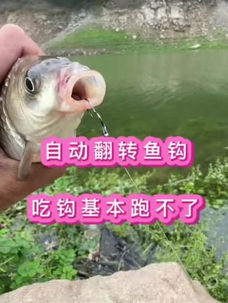 鱼钩买对了,解决万千鱼钩问题,不然你就亏大了!