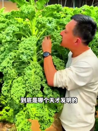 自律期的姐妹,每天早上这一杯羽衣甘蓝黑咖啡就够了#黑咖啡 #羽衣甘蓝黑咖啡 #每天一杯咖啡