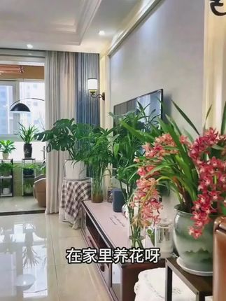 每盆花都浇一浇, 用不了多久花苞蹭蹭冒#养花#花卉绿植#补酸