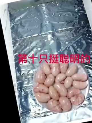 这个灭鼠神器太好用了 哪里有老鼠放哪里只要有它的地方老鼠都会自投罗网_捕鼠神器 _抓老鼠 _老鼠 _灭鼠