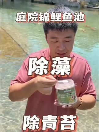 鱼池除藻粉,锦鲤池塘去除藻类净化水质,锦鲤鱼池用除藻粉