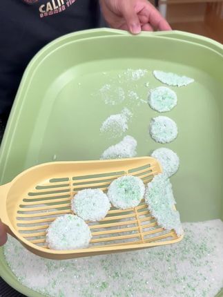 超大尿团也能扛!吸干快、结团牢,多猫家庭直接冲