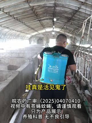 灭蝇克星 | 养殖场专用 一喷 / 一撒 苍蝇全清 安全无残留